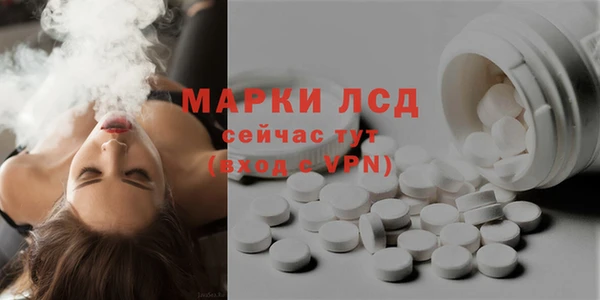 PSILOCYBIN Балабаново