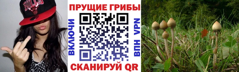 Галлюциногенные грибы GOLDEN TEACHER  сколько стоит  Лукоянов 